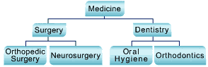 Diagram b)