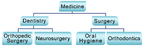Diagram d)